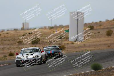 media/May-03-2025-Lucky Dog Racing (Sat) [[206de64b9d]]/Turn 6 (150pm-230pm)/